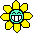 a_sunflower